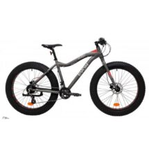 Evon Revolt 26' Fatbike