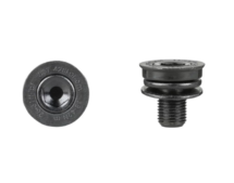 Trek Prowheel Crankarm Bolts M10