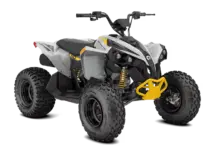 Can-Am Renegade EFI 110 2026